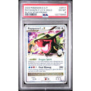 2009 POKEMON DIAMOND & PEARL BLACK STAR PROMO
