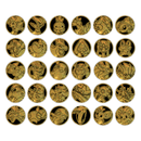 Pokemon Kinesisk Blade Awakened Coin Set