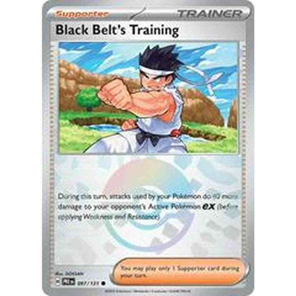 Black Belt's Training Poke Ball 097/131