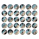 Pokemon Kinesisk Stellar Crystal Coin Set