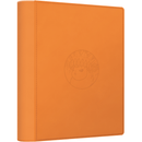 Pokemon Kinesisk Crystal Gathering Binder Set - Flareon