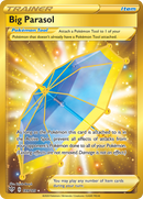 Trainer Big Parasol 199/189 Darkness Ablaze 2020 NM