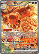Dachsbun ex 169/142 Stellar Crown 2024 NM