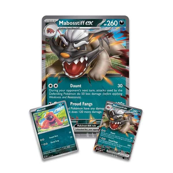 Pokemon - Mabostiff ex Collection Box