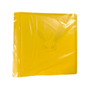 Eksklusiv Kinesisk Jolteon Premium Collection Box